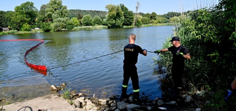 TESTS IN GERMAN LAGOON PROVIDE NO ANSWERS TO ODER FISH DIE-OFF