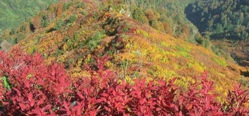 TURKEY CREATES BIODIVERSITY MAP