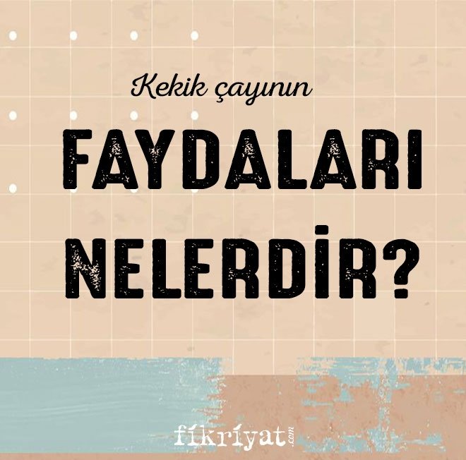 KEKİK ÇAYININ FAYDALARI NELERDİR?