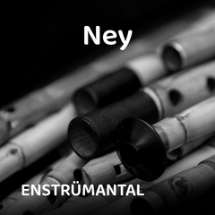 Ney