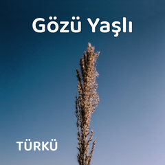 Ben Ağlamayım Kimler Ağlasın