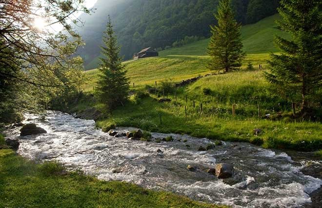 Su hakkında bilinmesi gereken 25 akıcı gerçek