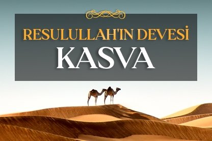 Resulullah’ın SAV devesi: Kasva