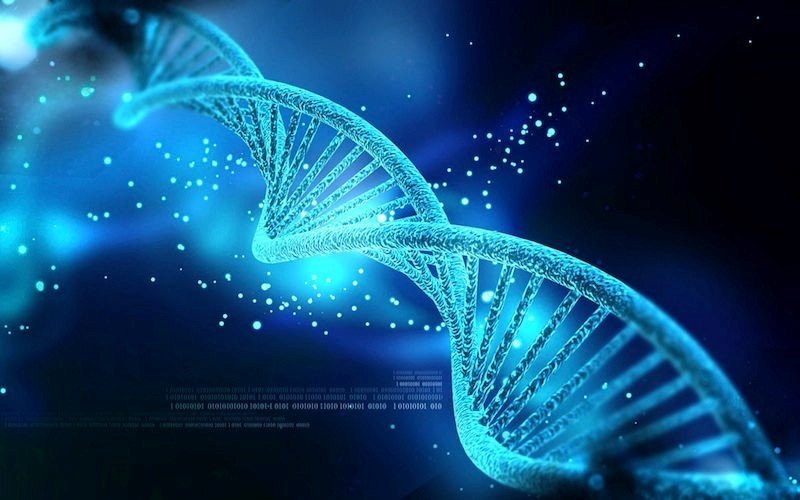 YENİ SİSTEM: DNA ROBOTLARININ KONTROLÜ