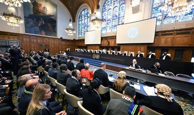 ICJ genocide charges against Israel pose witness safety challenge: Legal expert