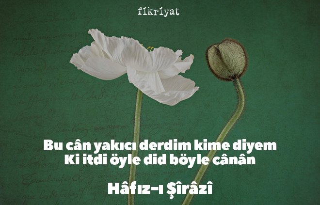 Hafız Divanından Alıntılar