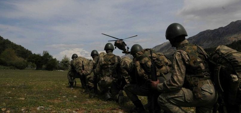 TURKISH FORCES KILL 8 PKK TERRORISTS IN SOUTHEAST