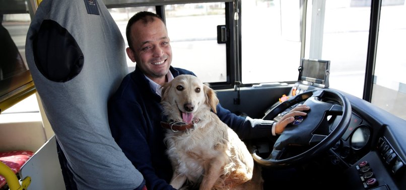 TURKISH BUS DRIVER GIVES STRAY DOG A RIDE TO KEEP IT WARM