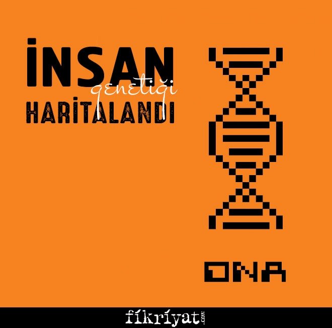 İnsan genetiği haritalandı