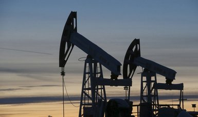 Poland, Estonia, Lithuania welcome price cap on Russian oil