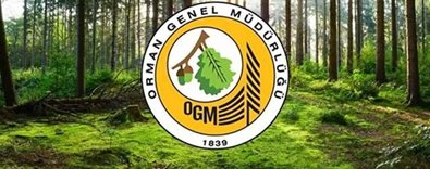 Ormanköylüsüne257milyarliradestek