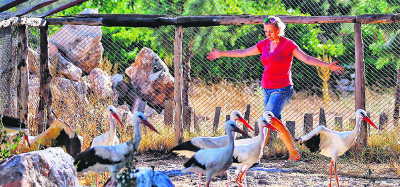 YOU CAN COME TO ECOLOGICAL FARMS IN TURKEY TO GET AWAY FROM STRESSFUL CITY LIFE