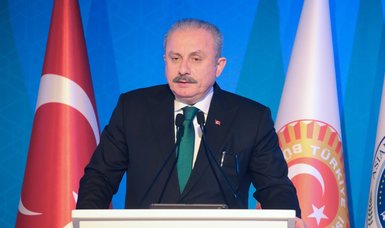 Turkish parliament head asks Sweden to take concrete steps to prevent terrorist provocations