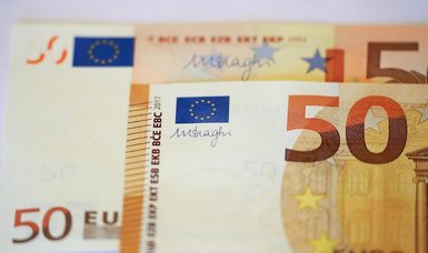US urges Kosovo to reconsider replacing Serbian dinar with euro