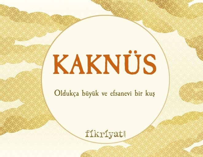 KAKNÜS