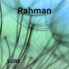 Rahman Suresi | Farklı Hocalardan Dinle 