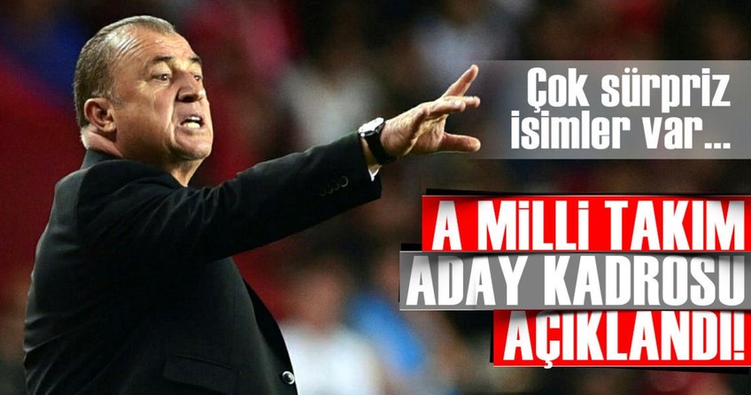 A Milli Takım kadrosu açıklandı!