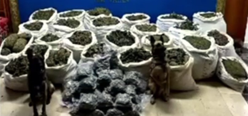 TURKISH FORCES SEIZE 37 BILLION TL WORTH OF CANNABIS IN MAJOR NARCOTIC OPERATION | NARCOTICS POLICE SEIZE RECORD AMOUNT OF CANNABIS IN BINGÖL
