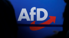 AFD Türkleri Hedef Aldı