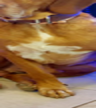 Batu