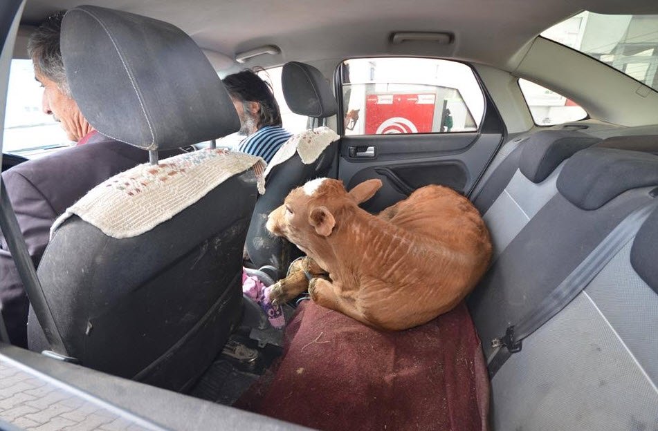 Fotoğraflarla haftanın özeti