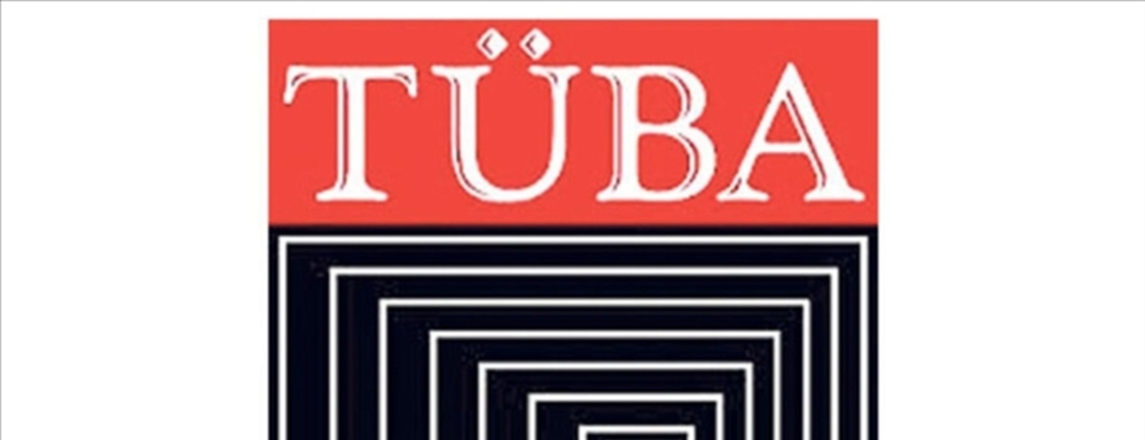 TÜBA’dan önemli çalıştay