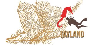 Tabiat harikası ada fazla turist çekince alınan önlem: Tamamen kapatmak