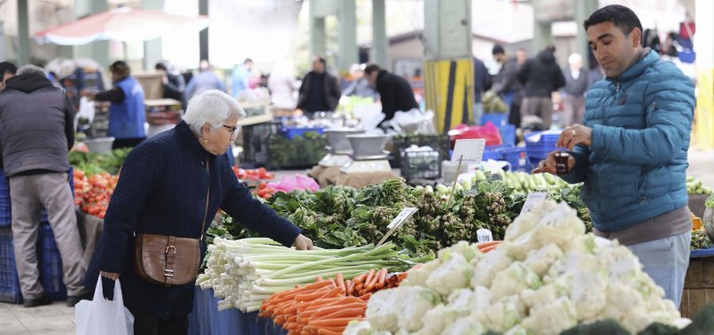 TURKEYS INFLATION RATE FALLS IN JUNE