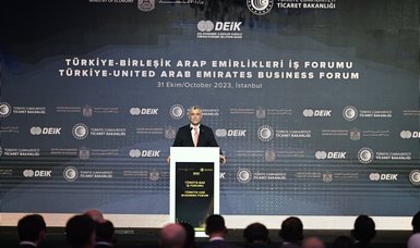 Türkiye aims to complete Development Road Project as soon as possible: Trade minister