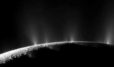Saturn's icy moon Enceladus harbors essential elements for life