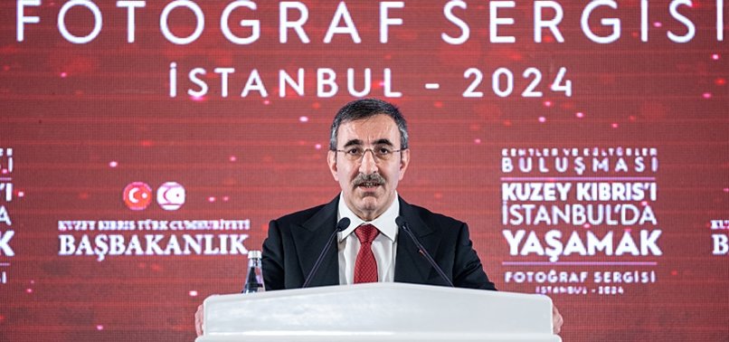 TURKISH VICE PRESIDENT STRESSES TÜRKIYE’S VITAL ROLE IN SAFEGUARDING PEACE IN NORTHERN CYPRUS