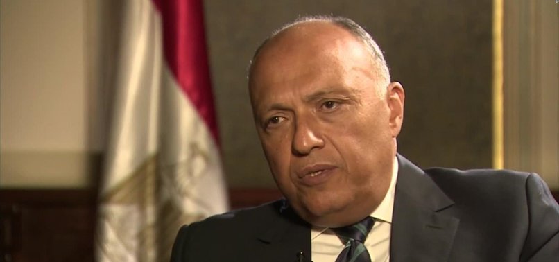 EGYPT FM TO TOUR GULF IN PUSH FOR POLITICAL SOLUTION