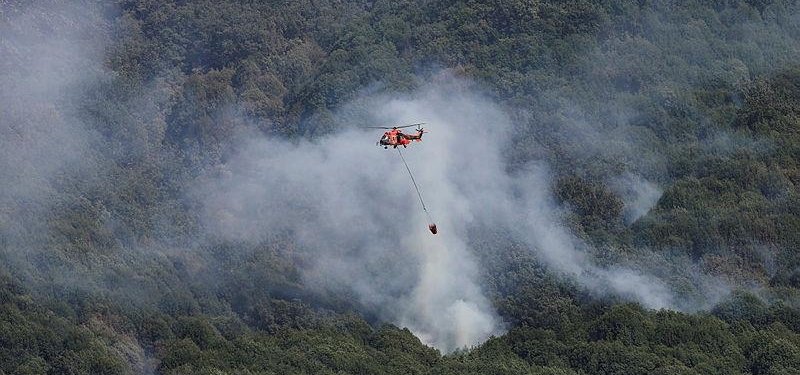 Forest fires rage in scorching southwest Europe