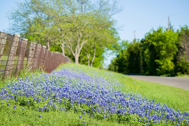 Edebiyatın önemli şairlerinden bahar konulu şiirler