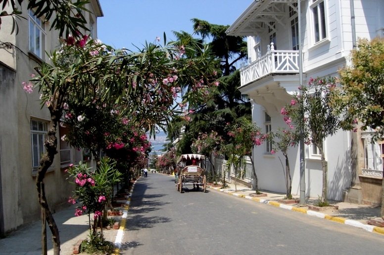 İstanbul’un bilinmeyen adaları