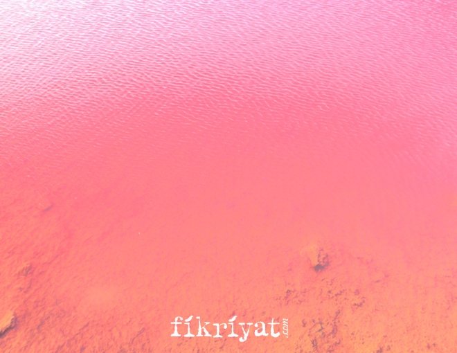 Dusty Rose Gölü Kanada