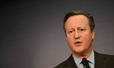UK's Cameron says Putin should be held accountable for Navalny's death