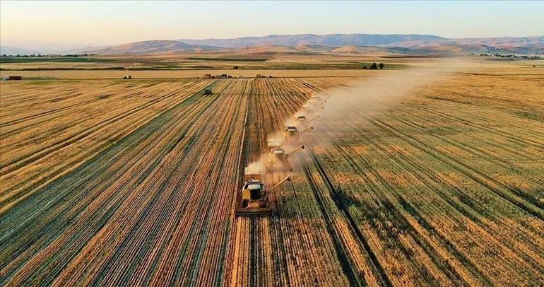 Tarım ürünleri üretici fiyatları azaldı