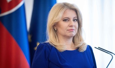 Slovakia freezes decisions on Ukraine military aid