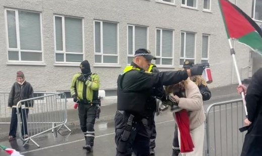 Police use pepper spray on pro-Palestinian protesters in Iceland