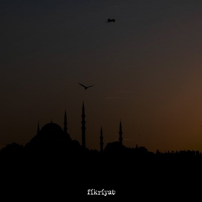 Temizlik
