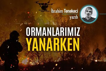 Ormanlarımız yanarken