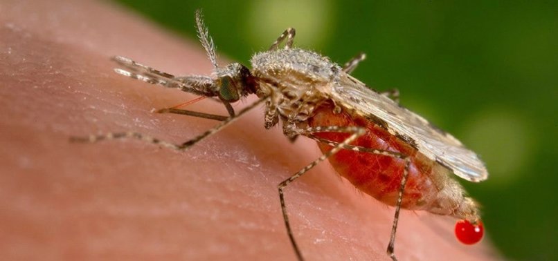 MALARIA OUTBREAK HITS COSTA RICAS EAST COAST