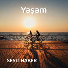 Senarist ne iş yapar?
