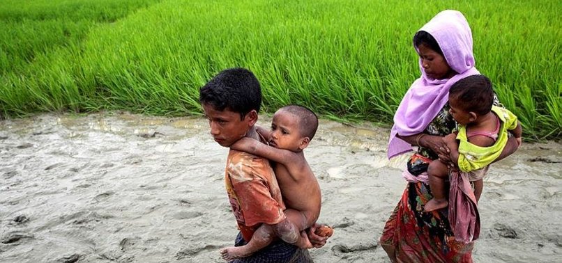 UN: 36,000 ROHINGYA BABIES ARRIVE IN BANGLADESH