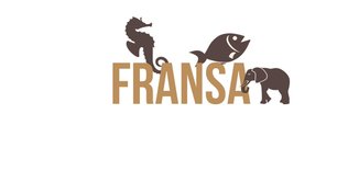 Rüyaların sosyolojisine doğru