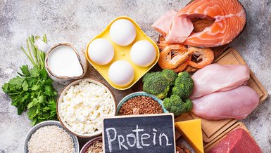 Beslenmede Proteinin Önemi