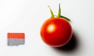 Bir kilo domates 0.0002 Bitcoin’e denk