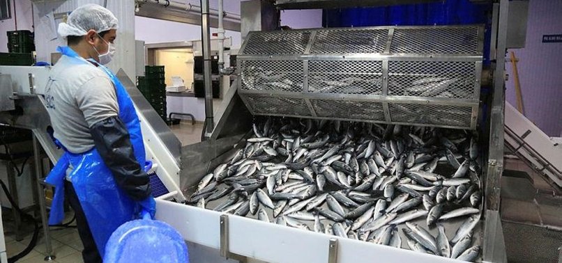 TURKEYS AQUACULTURE EXPORTS RISE BY 9 PCT THIS SEASON