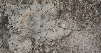 Ancient human footprint found in SE Turkey